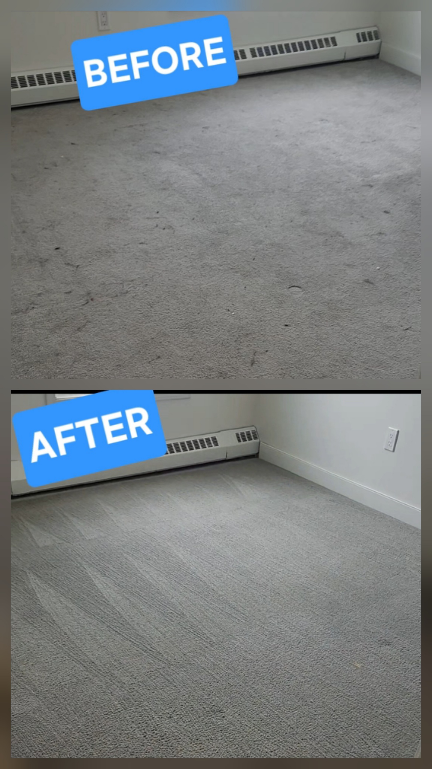 Before and after carpet cleaning — Lamont County home